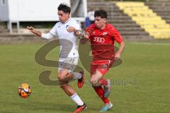 2023_10_21 - Saison 2023/24 - A-Junioren - FC Ingolstadt 04 - TSG 1899 Hoffenheim - Erdal izzet weiss Hoffenheim - Draculic Ognjen rot FCI - Foto: Meyer Jürgen