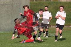 Kreisklasse - Saison 2024/25- SV Zuchering - FC Wackerstein/Dünzing - Philip Delanowski rot Zuchering - Jonas Lechner weiss Wackerstein - Ahmed Metinov rot links Zuchering - Foto: Meyer Jürgen