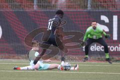 Bayernliga Nord - Saison 2024/25 - FC Ingolstadt 04 II - DJK Ammerthal - Jason Osei Tutu (Nr.11 - FCI U21) - Henrik Brüggen blau Ammerthal - Christopher Sommerer Torwart Ammerthal - Foto: Meyer Jürgen
