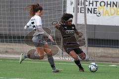 2024_2_10 - 2. Bundesliga Frauen - Saison 2023/24 - Freundschaftsspiel - FC Ingolstadt 04 Frauen - Schwaben Augsburg - Laura Fischer grau Augsburg - Natali Shonte Pinkney FCI - Foto: Meyer Jürgen