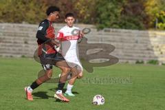 A-Junioren Bundesliga -  Saison 2026/27 - FC Ingolstadt 04 - VFB Stuttgart - Gentges Isaac rot FCI - XXXXX -  Foto: Meyer Jürgen