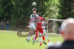 Kreisliga - Saison 2024/25- SV Kasing - TSV Kösching-  - Simon Renn weiss Kasing - Stefan Winzinger rot Kösching - Foto: Meyer Jürgen