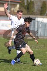 Bayernliga Nord - Saison 2025/26 - FC Ingolstadt 04 II - SpVgg Bayern Hof - Damian  Coric (Nr.17 - FC Ingolstadt II)- Niklas Stadelmann weiss Bayern Hof  - Foto: Meyer Jürgen