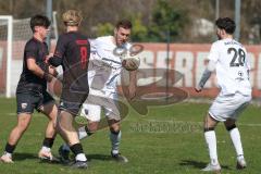 Bayernliga Nord - Saison 2025/26 - FC Ingolstadt 04 II - SpVgg Bayern Hof - Patrick Bachmann (Nr.8 - FC Ingolstadt II) - Niklas Stadelmann weiss Bayern Hof  - Foto: Meyer Jürgen