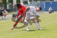 Bayernliga Nord - Saison 2023/24 - FC Ingolstadt 04 II - TSV Abtswind - Michael Udebuluzor (Nr.11 - FCI) - Wolf Max weiss Abtswind - Foto: Meyer Jürgen