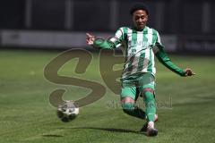 Landesliga - Saison 2025/26 - SV Manching - TSV Hollenbach - Romeo Öxler (Nr.17 - SV Manching) - XXXXX - Foto: Meyer Jürgen