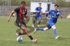 Bayernliga Nord - Saison 2024/25 - FC Ingolstadt 04 II - Würzburger FV 04 - Micah Ham (Nr.25 - FCI U21) - Gobbo Fabio blau Würzburg - Foto: Meyer Jürgen