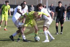U17 DFB-Nachwuchsliga - Saison 2024/25 - FC Ingolstadt 04 - TSG Hoffenheim - Omotolani Oladusu weiss FCI links - Zain Biazad gelb Hoffenheim - Maximilian Wagner weiss FCI - Foto: Meyer Jürgen