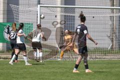 2. Bundesliga Frauen - Saison 2025/26 - FC Ingolstadt 04 Frauen - Borussia Mönchengladbach - Der 1:1 Ausgleichstreffer - Torwart Anna-Lena Daum (Nr.22 - FC Ingolstadt Frauen I) - XXXXX - Foto: Meyer Jürgen