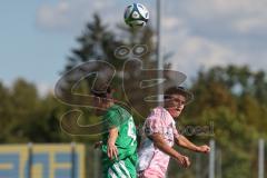 Bezirksliga - Saison 2025/26- TSV Gaimersheim - SVA Palzing - Nico von Swiontek Brzezinski (Nr.17 - TSV Gaimersheim) - Mathias Reinbacher grün Palzing  - Foto: Meyer Jürgen