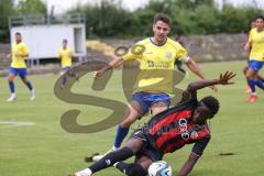 Bayernliga Nord - Saison 2024/25 - Freundschaftsspiel - FC Ingolstadt 04 II - FC Pipinsried - Jason Osei Tutu (Nr.11 - FCI U21) - Lobenhofer Benedikt gelb Pipinsried  - Foto: Meyer Jürgen
