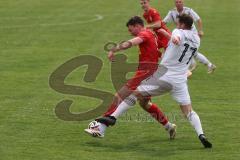 Kreisliga - Saison 2024/25- TSV Kösching - TSV Hohenwart - Maximilian Mittelhuber weiss Hohenwart - Johannes Tannwitz rot Kösching - Foto: Meyer Jürgen