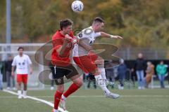 2023_10_28 - Bayernliga Nord - Saison 2023/24 - FC Ingolstadt 04 II - ASV Cham - Herbert Paul rot FCI - Lukas Leutner weiss Cham - Foto: Meyer Jürgen