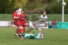 Kreisliga - Saison 2025/26- SV Zuchering - FC Mindelstetten - Fabian Sangl TW Mindelstetten - Jan Schimmack  rot Zuchering - Jonas Schoberer weiß Mindelstetten - Foto: Meyer Jürgen