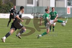 Kreisliga - Saison 2023/24 - Türkisch SV Ing - FC Gerolfing -  - Daniel Drotleff  schwarz Türkisch - Timo Kraus grün Gerolfing - Foto: Meyer Jürgen