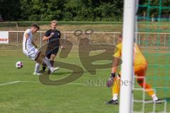 Testspiel -SV Manching - TSV Abensberg - Meisinger Rainer (Nr.7 - SV Manching) - Sturm Marius Torwart Abensberg - Foto: Jürgen Meyer