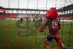 3. Liga - Saison 2026/27 - FC Ingolstadt 04 - SV Wehen Wiesbaden - Familientag - Elfmeter schiessen gegen Schanzi - XXXXX - Foto: Meyer Jürgen