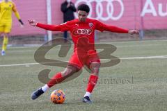 A - Junioren Bundesliga Süd/Südwest -  Saison 2021/2022 - FC Ingolstadt 04 - SC Freiburg - Udogu David (#3 FCI) - Foto: Meyer Jürgen