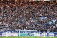 2.BL; Karlsruher SC - FC Ingolstadt 04; KSC Fan Fankurve Banner Fahnen Spruchband