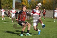 A-Junioren Bundesliga -  Saison 2026/27 - FC Ingolstadt 04 - VFB Stuttgart - Walther Felix rot FCI - Zezelj Nino weiss Stuttgart -  Foto: Meyer Jürgen
