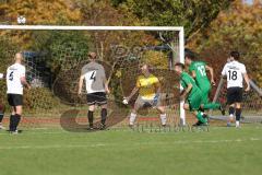 2023_10_22 - Bezirksliga - Saison 2023/24 - TSV Gaimersheim - SV Waldeck -  Der 1:0 Führungstreffer durch - Zoltan Vati grün Gaimersheim - Arne Brauer Torwart Waldeck - jubel - Foto: Meyer Jürgen