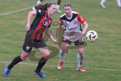2. Bundesliga Frauen - Saison 2024/25 - FC Ingolstadt 04 Frauen - Eintracht Frankfurt II - Stefanie Reischmann (Nr.24 - FCI Frauen) - Zimmermann Tessa weiss Frankfurt - Foto: Meyer Jürgen