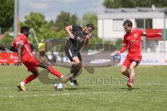 Bezirksliga - Saison 2024/25- TSV Gaimersheim - FC Fatih Ingolstadt - Hakan Düzgün (Nr.25 - TSV Gaimersheim) - Boubacarr Saho rot Fatih links - Erdogan Nasufaj rot Fatih - Foto: Meyer Jürgen