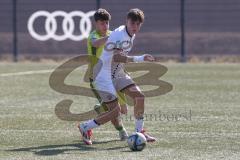 U17 DFB-Nachwuchsliga - Saison 2024/25 - FC Ingolstadt 04 - TSG Hoffenheim - Alexander Meyer weiss FCI - Maximilian Theuer gelb Hoffenheim - Foto: Meyer Jürgen