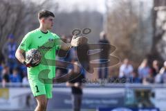 Toto-Pokal; FV Illertissen - FC Ingolstadt 04; Torwart Ponath Markus (1 FVI)