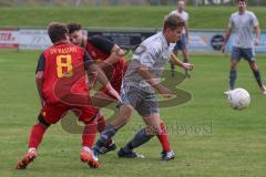 2023_11_5 - SV Kasing - TV Münchsmünster - Kreisliga - Saison 2023/24 - Tobias Wolfsfellner rot Kasing - Moritz Feigl grau Münchsmünster -  Foto: Meyer Jürgen