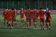 Bayernliga Süd - FC Ingolstadt 04 II - FC Ismaning - Götzendörfer Mario (#23 FCI) trifft per Elfmeter zum 1:0 Führungstreffer - jubel - Senger Michael (#21 FCI) - Karaogul Ishak (#15 FCI) - Gashi Egson (#7 FCI) - Foto: Jürgen Meyer