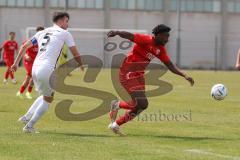 Bayernliga Nord - Saison 2023/24 - FC Ingolstadt 04 II - TSV Abtswind - Michael Udebuluzor (Nr.11 - FCI) - Wolf Max weiss Abtswind - Foto: Meyer Jürgen