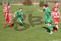 Kreisklasse - Saison 2022/2023 - SV Lippertshofen - SV Stammham - Der 2:2 Ausgleichstreffer durch Thomas Donner grün Lippertshofen - jubel - Foto: Meyer Jürgen