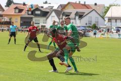 Vorbereitungsspiel - Testspiel - FC Ingolstadt 04 - VFB Eichstätt  - Doumbouya Moussa (#27 FCI) - Foto: Jürgen Meyer