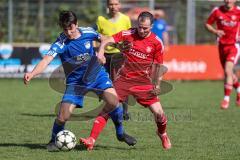 Kreisklasse - Saison 2024/25- Türk SV Ing - FC Arnsberg - Marco Maier blau Arnsberg - Renato Tuka rot Türk SV - Foto: Meyer Jürgen