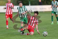 Landesliga - Saison 2025/26 - SV Manching - TSV Dachau  - Johannes  Dexl (Nr.13 - SV Manching) - Berkant Barin rot Dachau - Foto: Meyer Jürgen