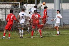 2023_10_21 - Saison 2023/24 - A-Junioren - FC Ingolstadt 04 - TSG 1899 Hoffenheim - Zeitler Denis rot FCI - Frees Kelven weiss #5 Hoffenheim - Foto: Meyer Jürgen