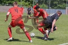 Bayernliga Süd - Saison 2021/2022 - FC Ingolstadt 04 II - SpVgg Hangkofen - David Udogu (#2 FCI) - Tobias Richter schwarz Hangkofen - Foto: Meyer Jürgen