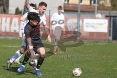 Bayernliga Nord - Saison 2025/26 - FC Ingolstadt 04 II - SpVgg Bayern Hof - Damian  Coric (Nr.17 - FC Ingolstadt II)- Niklas Stadelmann weiss Bayern Hof  - Foto: Meyer Jürgen