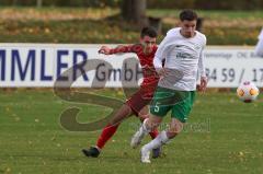 2023_11_5 - Kreisklasse - Saison 2023/24 - SV Manching II -  - SV Zuchering - Emil Kovacevic weiss Manching - Florian Meier rot Zuchering - Foto: Meyer Jürgen