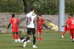 Bayernliga Nord - Saison 2023/2024 - FC Ingolstadt 04 - FC Coburg - Foto: Meyer Jürgen