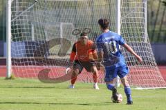 Kreisklasse - Saison 2025/26- TSV Ingolstadt Nord - FC Arnsberg - MArco Meier blau Arnsberg vergibt einen Torchance - Taha Yumak Torwart Ing.Nord - Foto: Meyer Jürgen