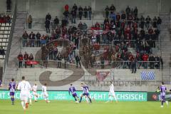 2.BL; Erzgebirge Aue - FC Ingolstadt 04; Fan Fanukurve Banner Fahnen Spruchband mitgereist
