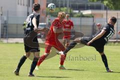 Bayernliga Süd - Saison 2021/2022 - FC Ingolstadt 04 II - SpVgg Hangkofen - Meikis Fabio (#19 FCI) - Benedikt Gänger schwarz #18 Hangkofen - Foto: Meyer Jürgen