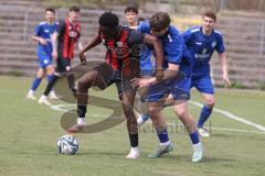 Bayernliga Nord - Saison 2024/25 - FC Ingolstadt 04 II - Würzburger FV 04 - Jason Osei Tutu (Nr.11 - FCI U21) - Gobbo Fabio blau Würzburg - Foto: Meyer Jürgen