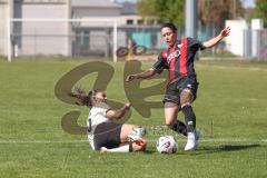 2. Bundesliga Frauen - Saison 2025/26 - FC Ingolstadt 04 Frauen - Borussia Mönchengladbach - Annika Kömm (Nr.25 - FC Ingolstadt Frauen I) - Celissen Elize weiss M`Gladbach  - Foto: Meyer Jürgen