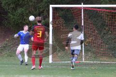 2023_11_5 - SV Kasing - TV Münchsmünster - Kreisliga - Saison 2023/24 -  Der 1:1 Ausgleichstreffer durch Tobias Schmid grau Münchsmünster nicht im Foto - jubel - Patrick Lücking Torwart Kasing - Foto: Meyer Jürgen