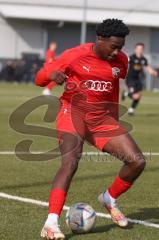 Bayernliga Nord - Saison 2023/24 - FC Ingolstadt 04 II - SpVgg Hankofen-Hailing - Udebuluzor Michael rot FCI - XXXXX - Foto: Meyer Jürgen
