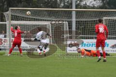 Kreisliga - Saison 2025/26- TSV Kösching - SV Kasing - Der 1:1 Ausgleichstreffer durch Johannes Tannwitz rot Kösching - Bernhard Feil Torwart Kasing - jubel -  - Foto: Meyer Jürgen