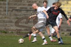 Bayernliga Nord - Saison 2025/26 - FC Ingolstadt 04 II - SpVgg Bayern Hof - Patrick Bachmann (Nr.8 - FC Ingolstadt II) - Maximilian Weiß weiss Bayern Hof  - Foto: Meyer Jürgen